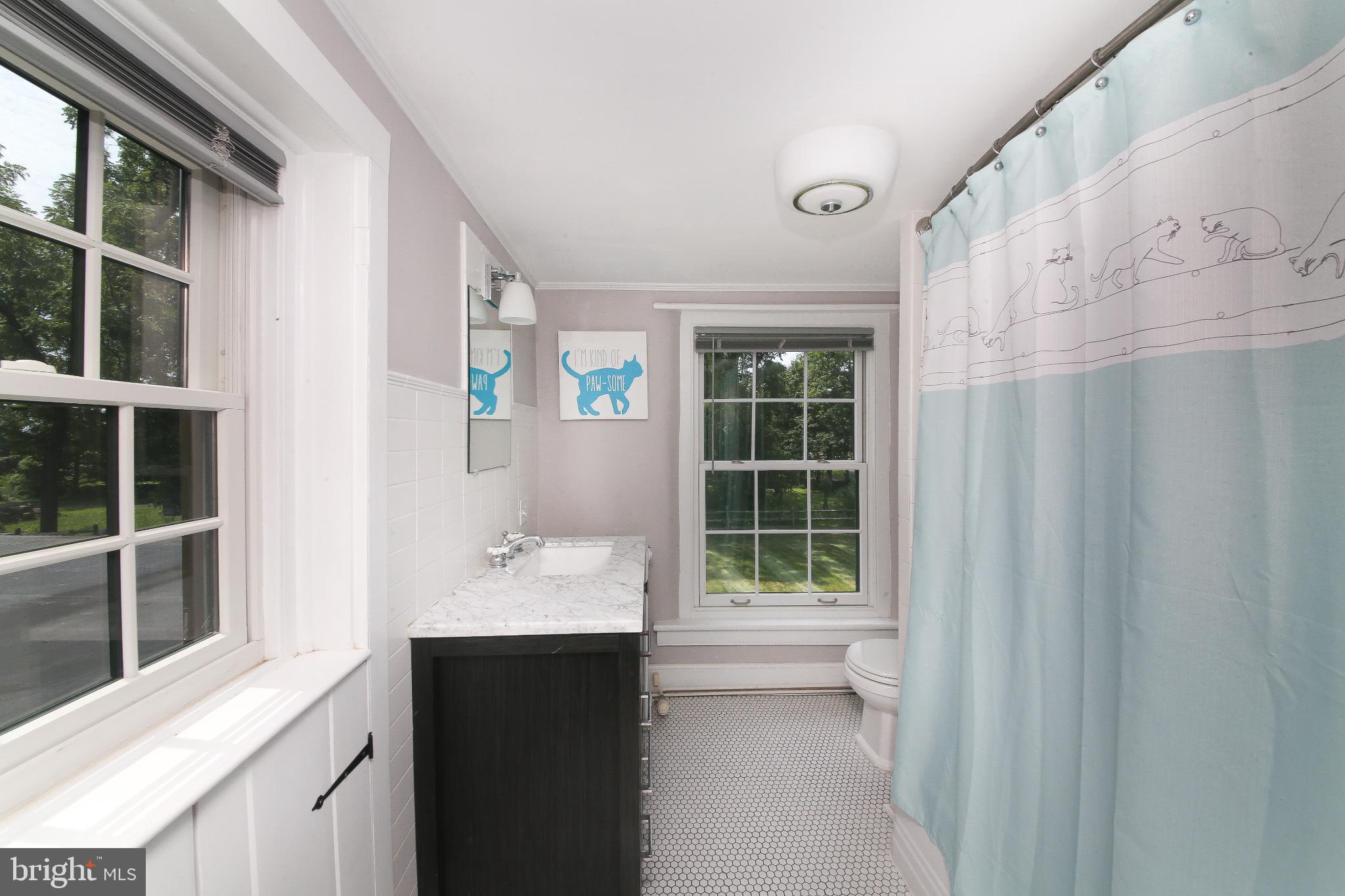 4964 Point Pleasant Pike Doylestown, PA 18902 - Photo 20 of 28 Charming bathroom with playful cat decor.