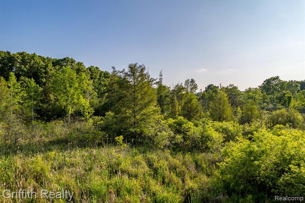 4433 Brighton Road Howell, MI 48843 - Photo 3 of 29