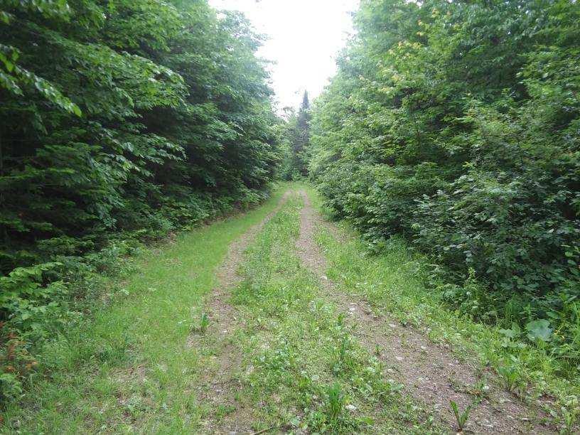 1661 Ludlow Road Houlton, ME 04730 - Photo 57 of 63 image0000048887