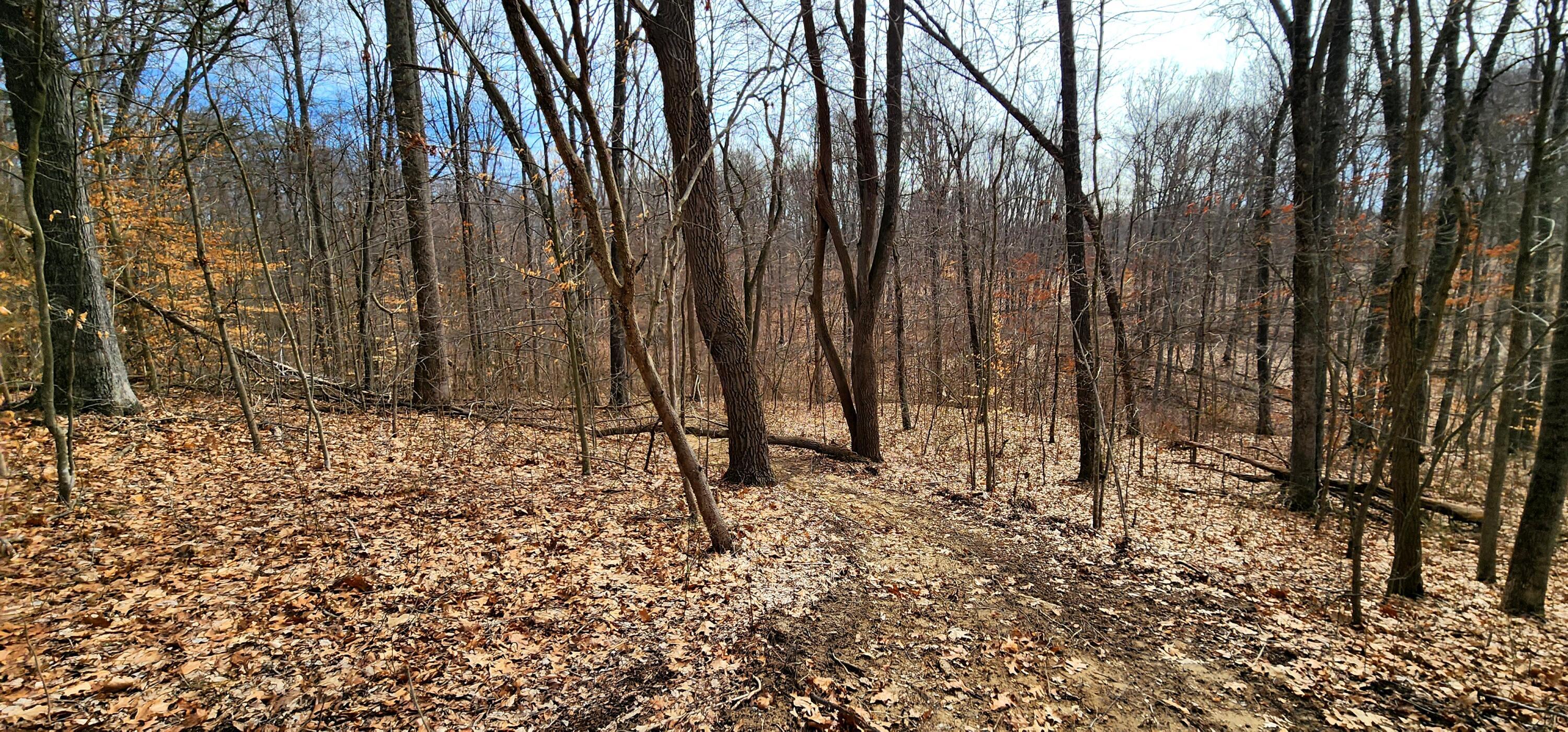 0 Edmundson Road, Unit TRACT 4 AT BIG TIMBER) Vinton, OH 45686 - Photo 40 of 67 20250307_115200