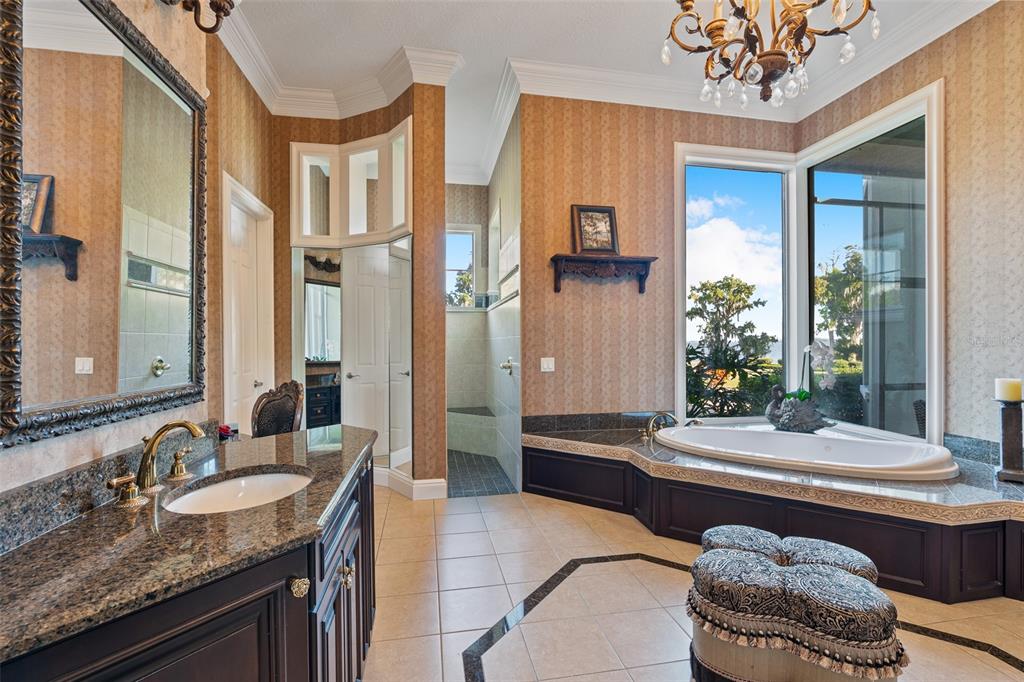 30215 Redtree Drive Leesburg, FL 34748 - Photo 26 of 62