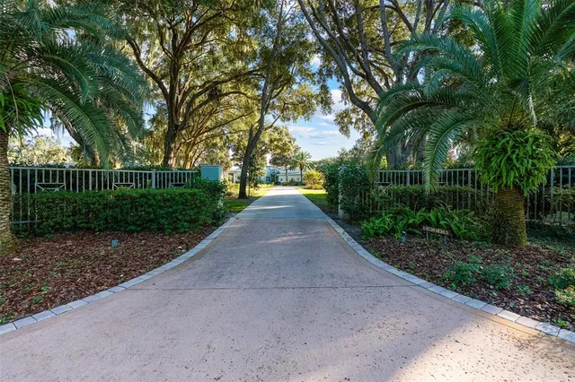 a picture of flowers