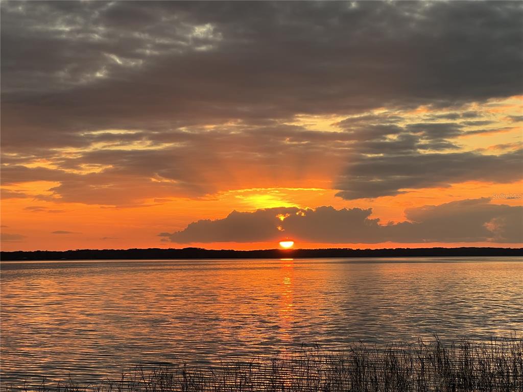 30215 Redtree Drive Leesburg, FL 34748 - Photo 61 of 62