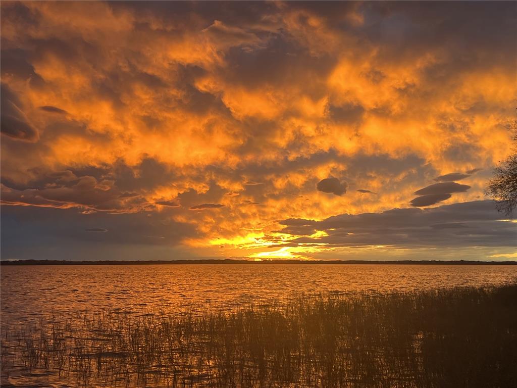 30215 Redtree Drive Leesburg, FL 34748 - Photo 62 of 62