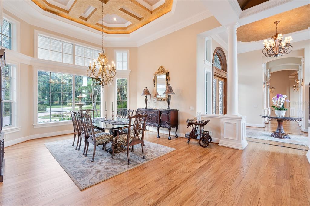 30215 Redtree Drive Leesburg, FL 34748 - Photo 7 of 62