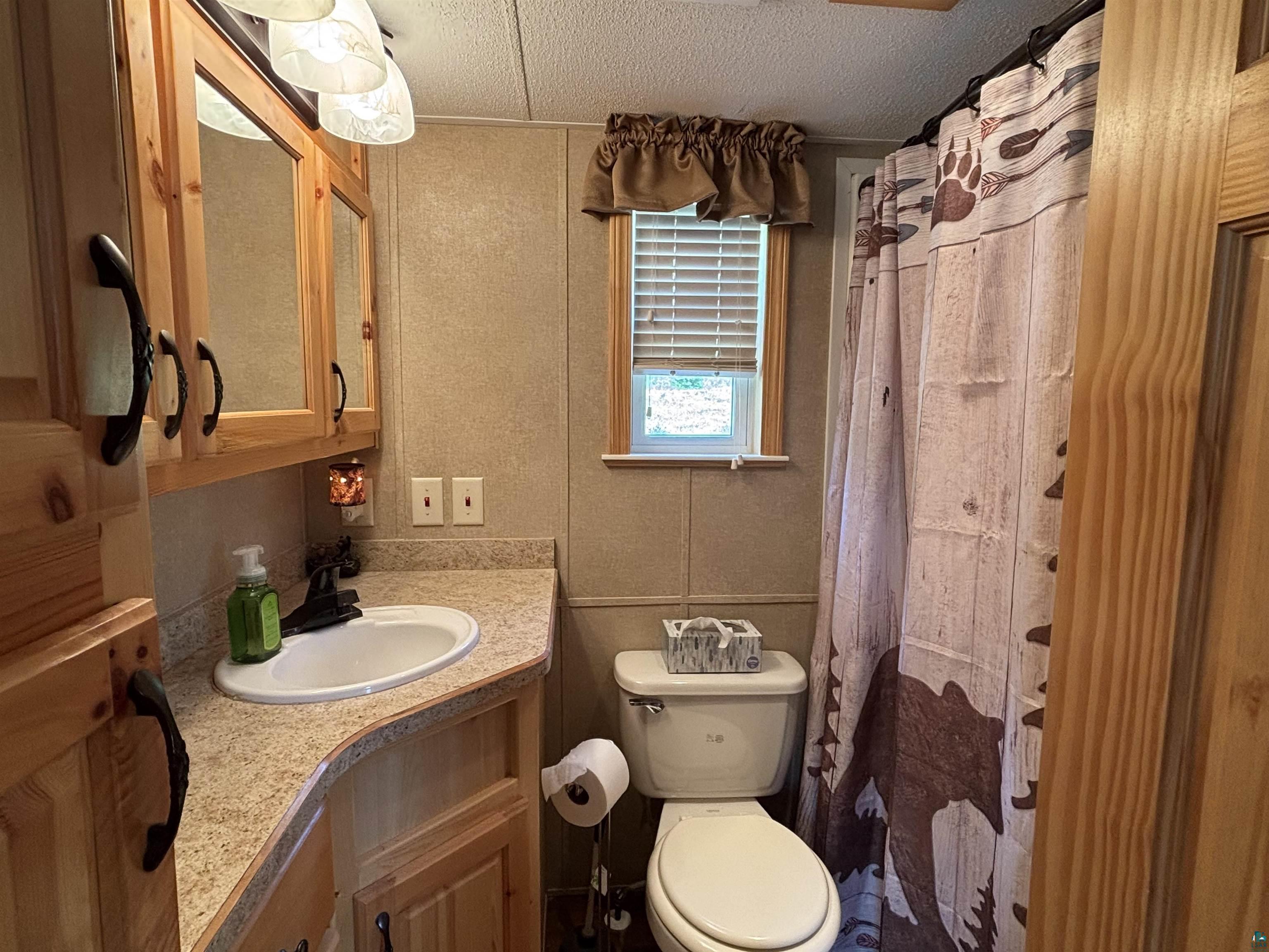 9442 Bear Ridge Drive Orr, MN 55771 - Photo 8 of 26 Bathroom with vanity, a textured ceiling, and a shower with curtain