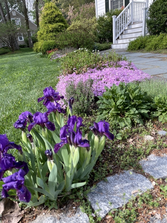 20 Lee Road Wayland, MA 01778 - Photo 19 of 22 Gallery Image 19