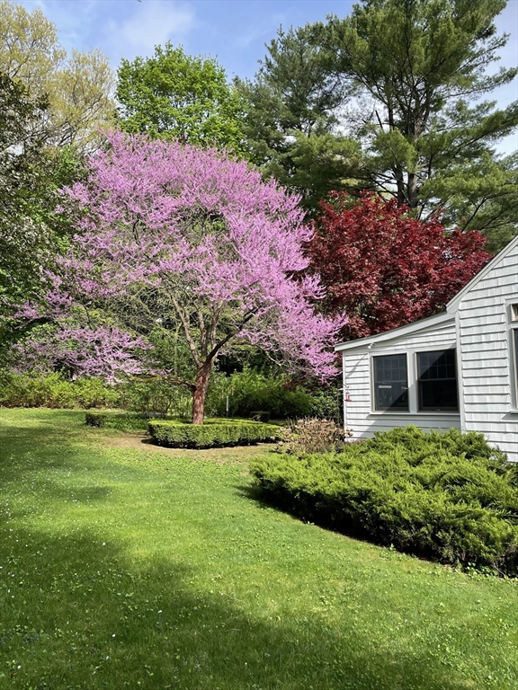 20 Lee Road Wayland, MA 01778 - Photo 20 of 22 Gallery Image 20