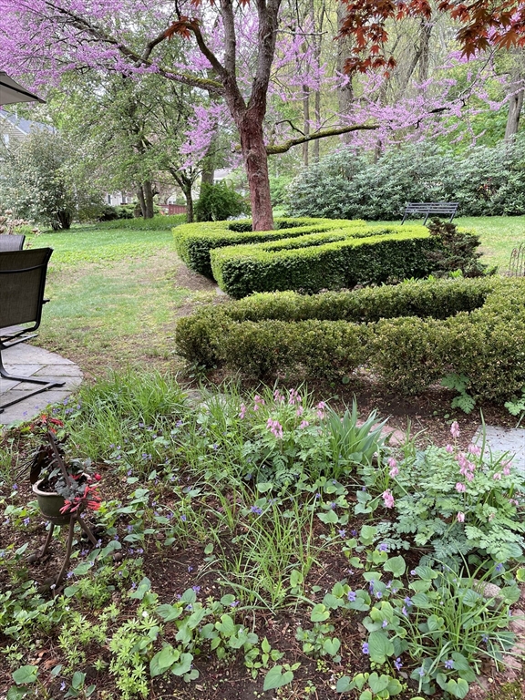 20 Lee Road Wayland, MA 01778 - Photo 22 of 22 Gallery Image 22