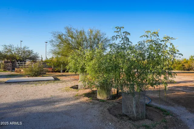 a view of roadside with trees
