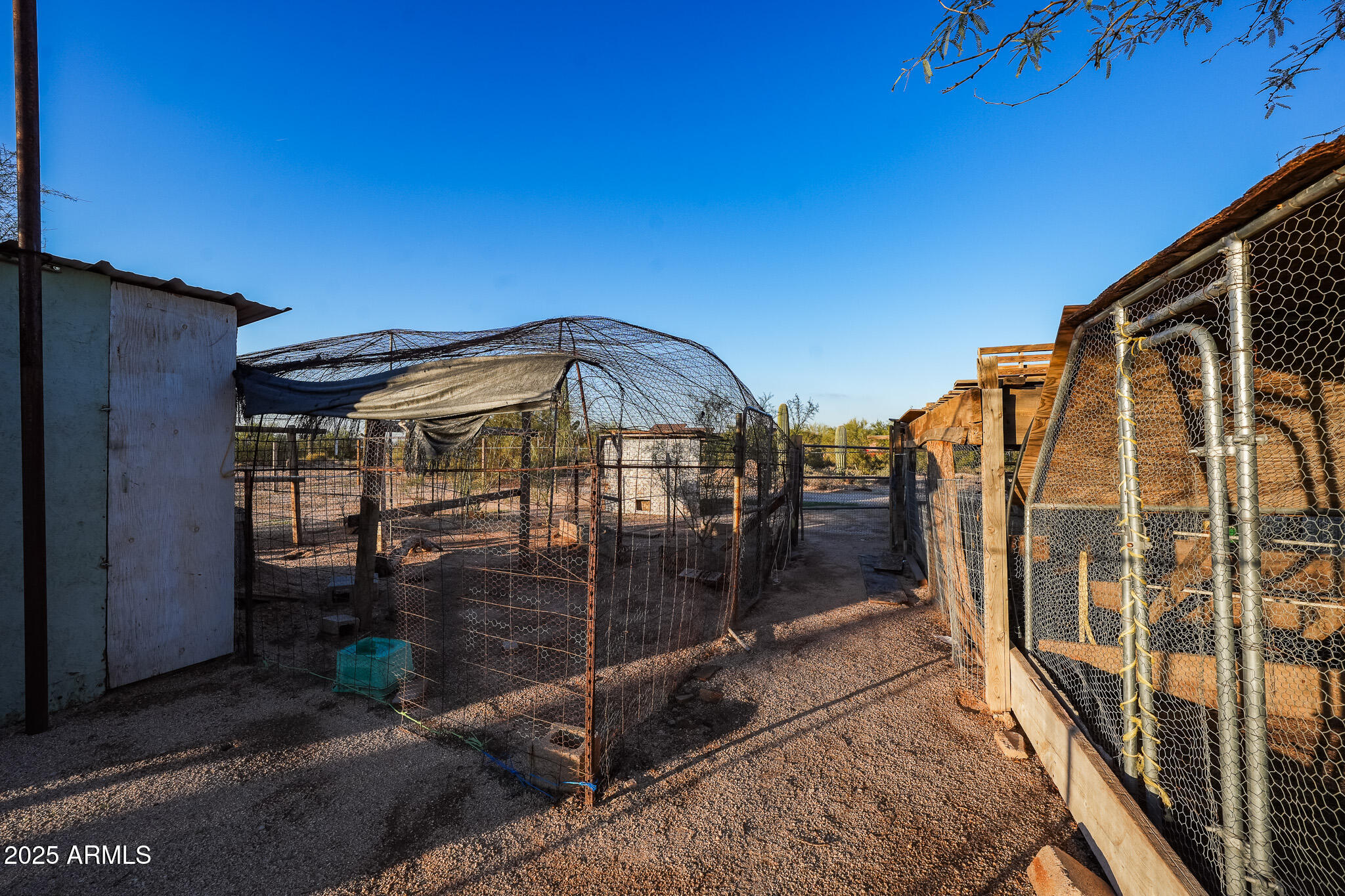11003 North Hohokam Road Florence, AZ 85132 - Photo 52 of 90 DSC04888