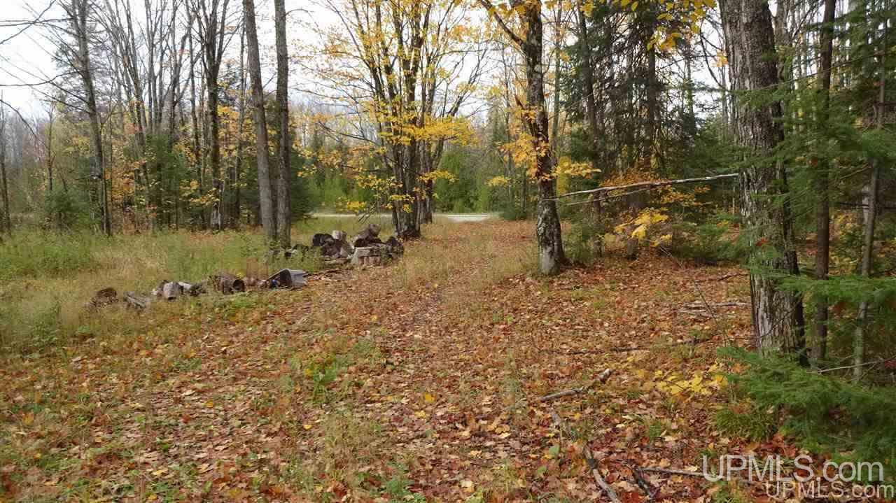 N2750 East T Road Trenary, MI 49891 - Photo 17 of 18