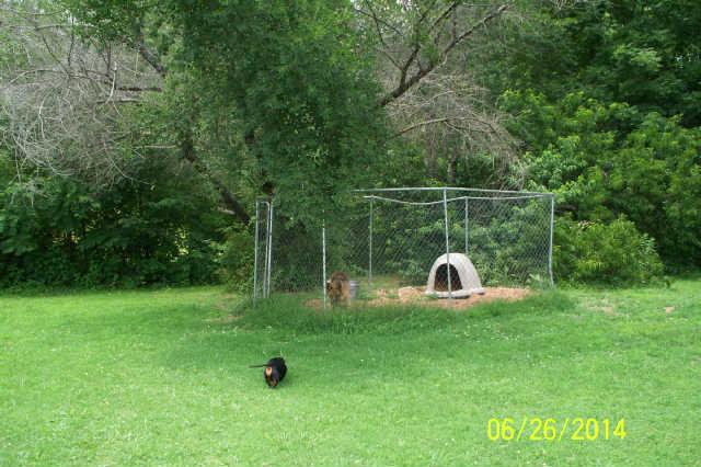 3890 Baggett Road Springfield, TN 37172 - Photo 17 of 20