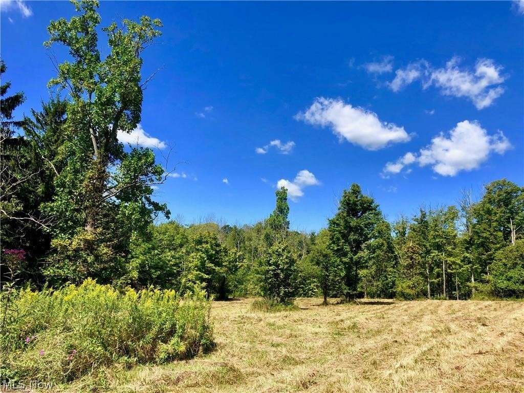 V/l V/l Chardon/welk Road Chardon, OH 44024 - Photo 5 of 11
