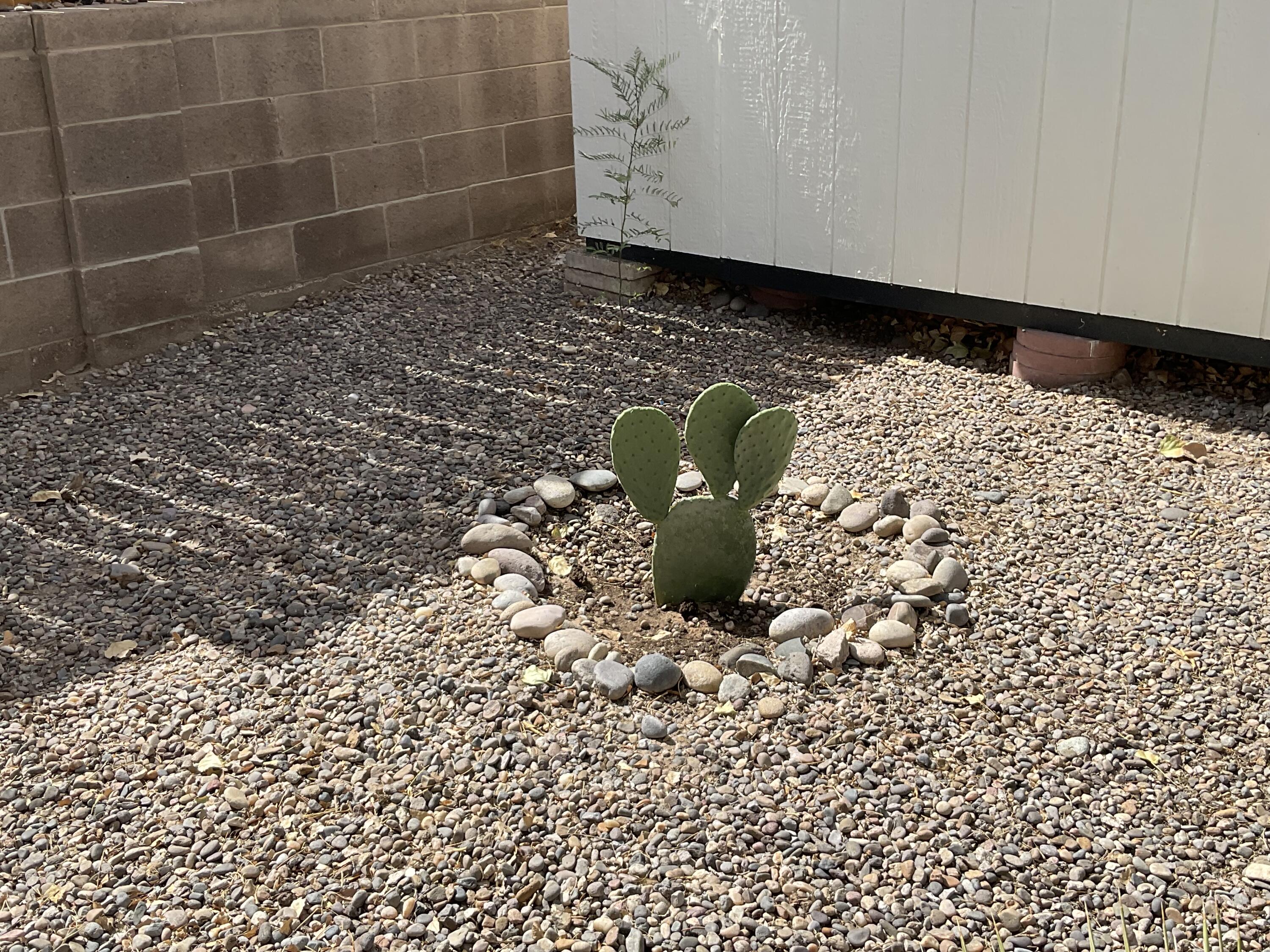 1313 Elkslip Drive Northeast Rio Rancho, NM 87144 - Photo 45 of 51 Gallery Image 45