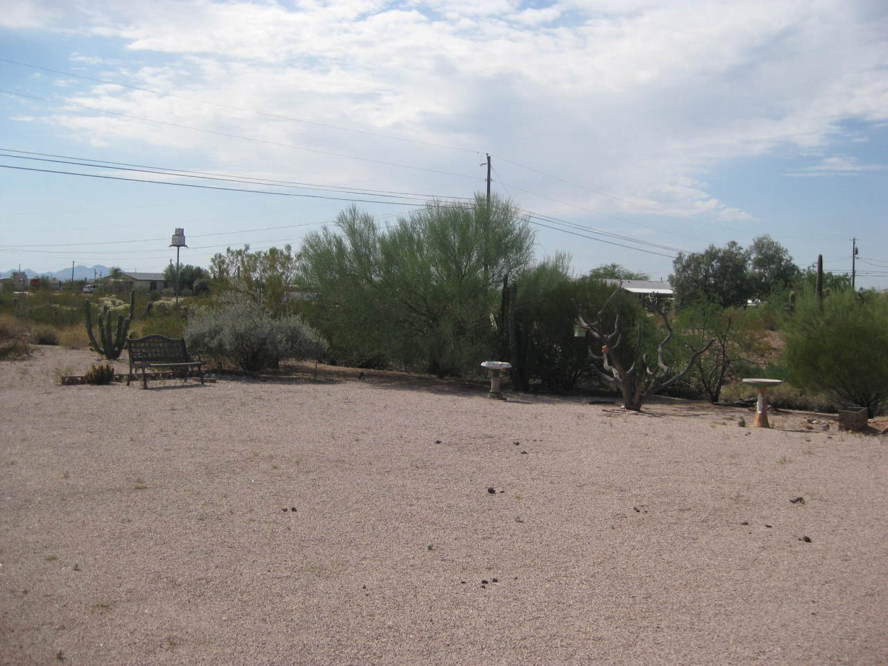 328 North Starr Road Apache Junction, AZ 85119 - Photo 5 of 12 BACKYARD