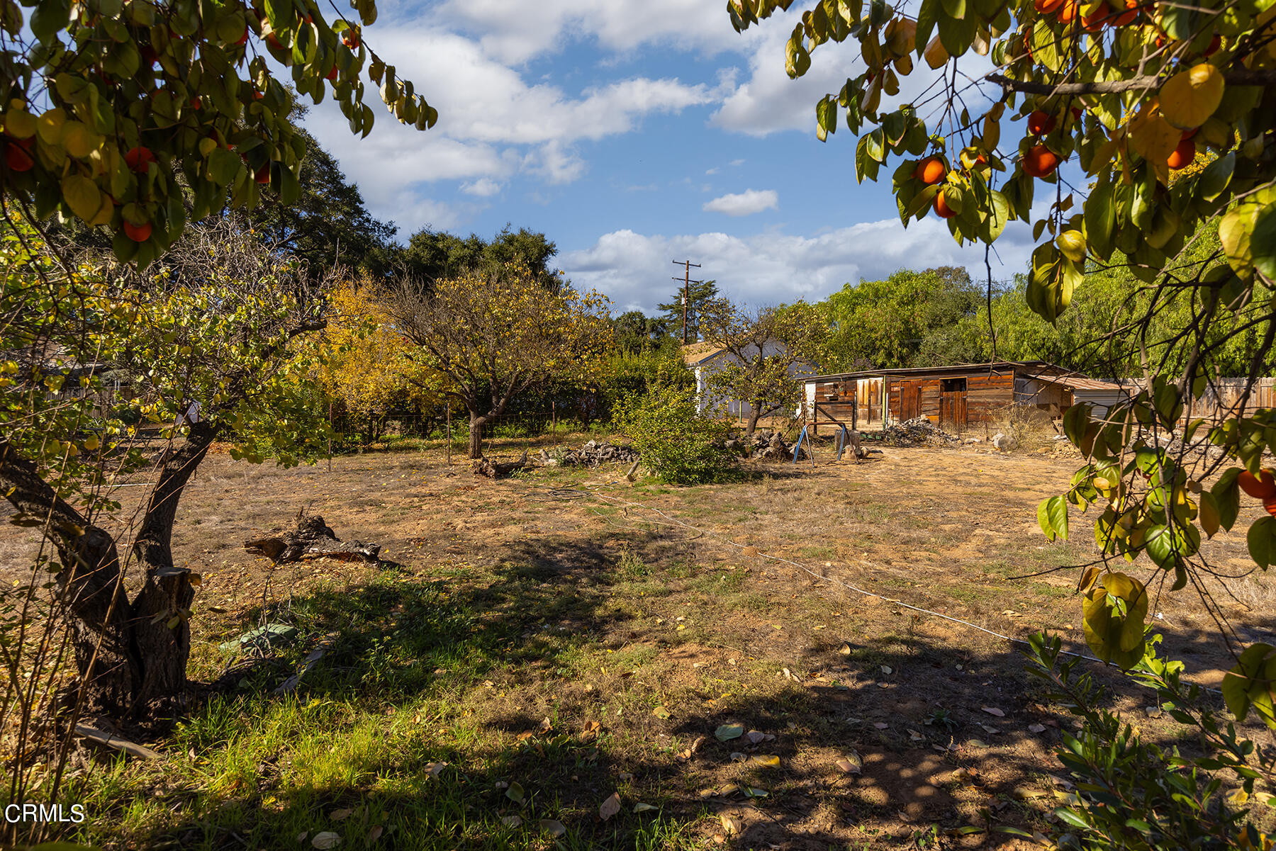 Undisclosed Address Ojai, CA 93023 - Photo 16 of 20 a view of outdoor space and yard
