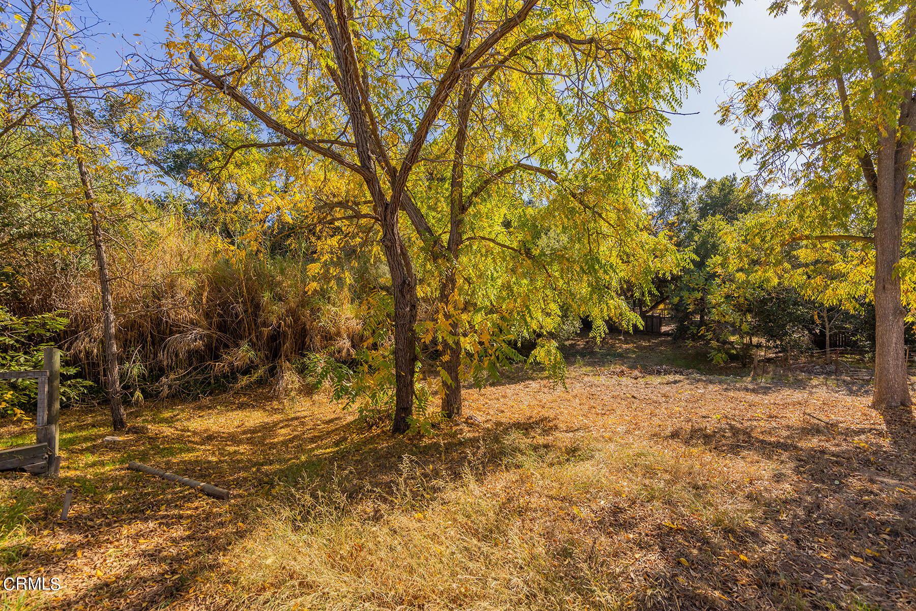 Undisclosed Address Ojai, CA 93023 - Photo 18 of 20 a view of a yard with trees