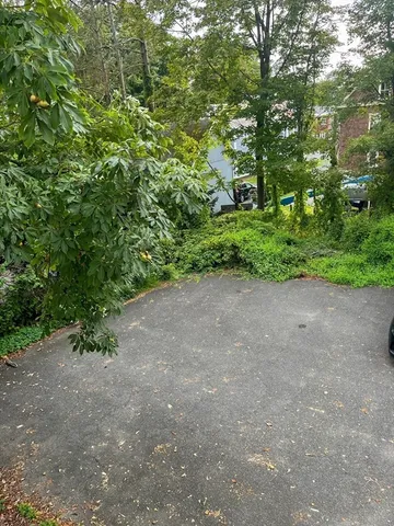 a view of a plants with large trees