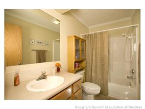 232 Alpine Road Dillon, CO 80435 - Photo 5 of 16 Gallery Image 5