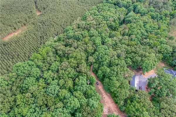 a view of a lush green forest