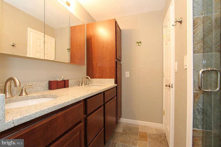 19217 Treadway Road Brookeville, MD 20833 - Photo 16 of 29 Bath (Master)