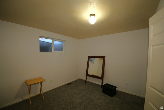 1612 East 450 South Springville, UT 84663 - Photo 37 of 48 Neutral wall paint, textured ceiling, ceiling-mounted light fixture, white trim, and gray carpeted flooring