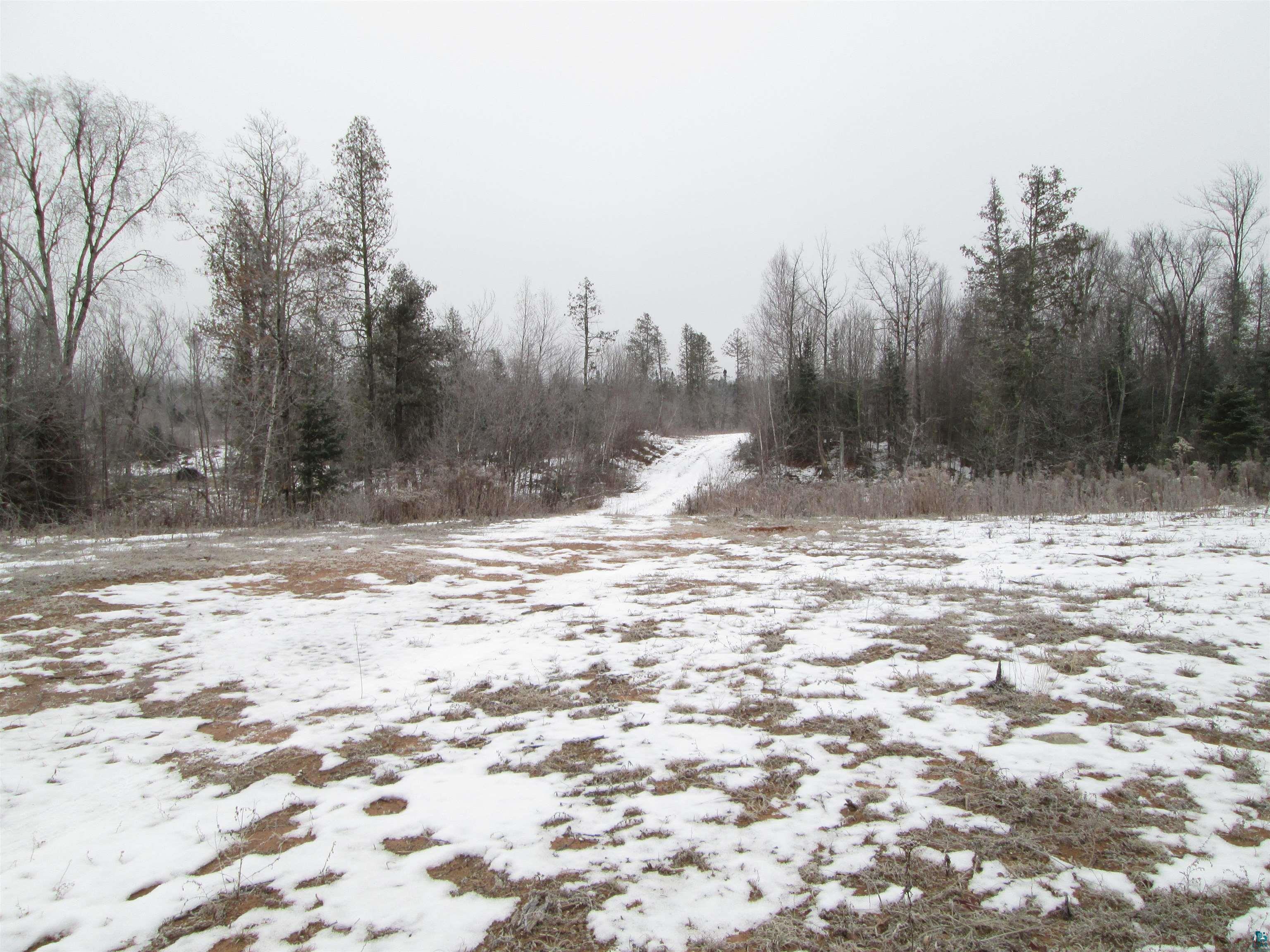40-acre Lot # 2 40-acre South Range, WI 54874 - Photo 5 of 10