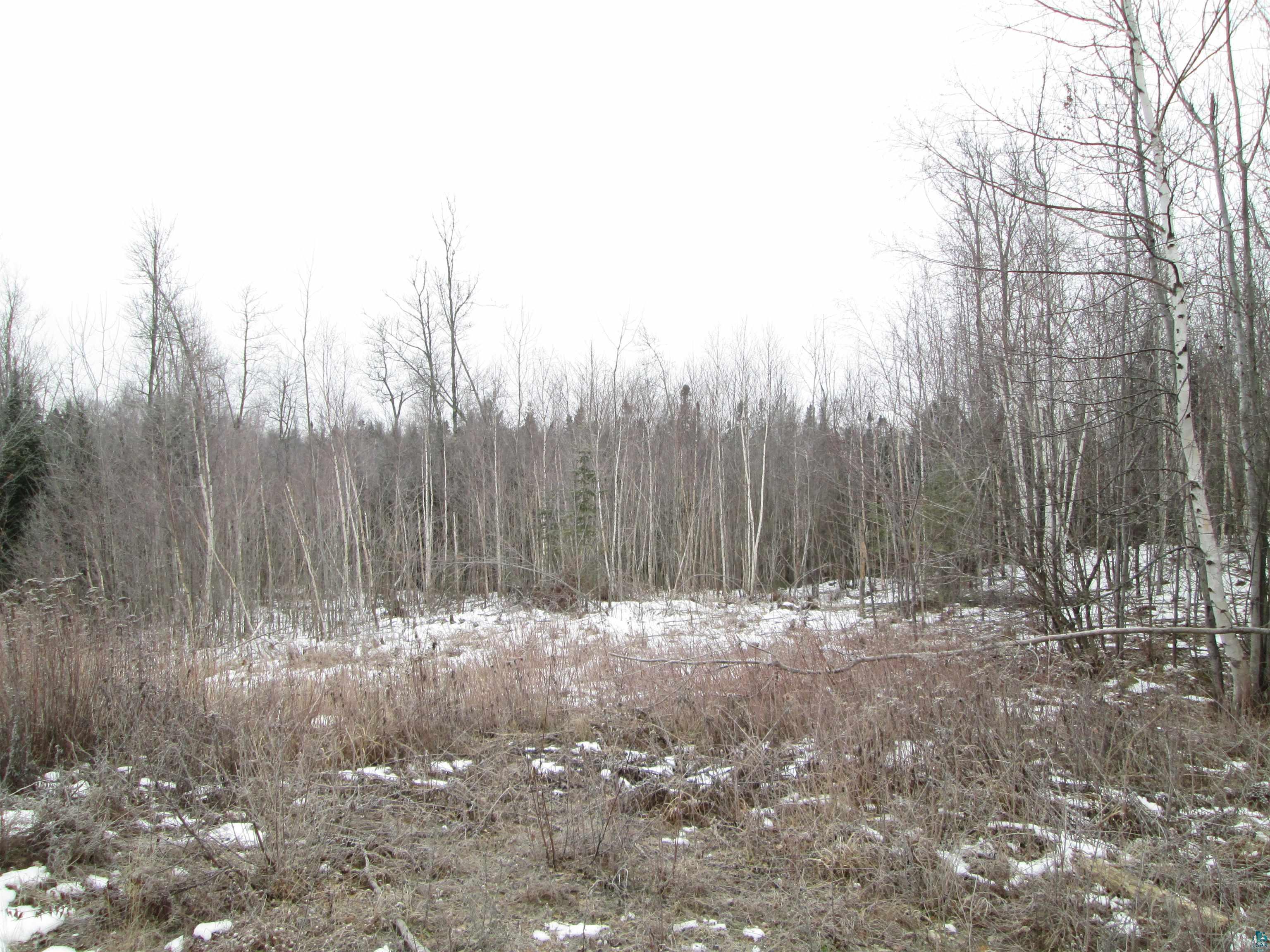 40-acre Lot # 2 40-acre South Range, WI 54874 - Photo 7 of 10