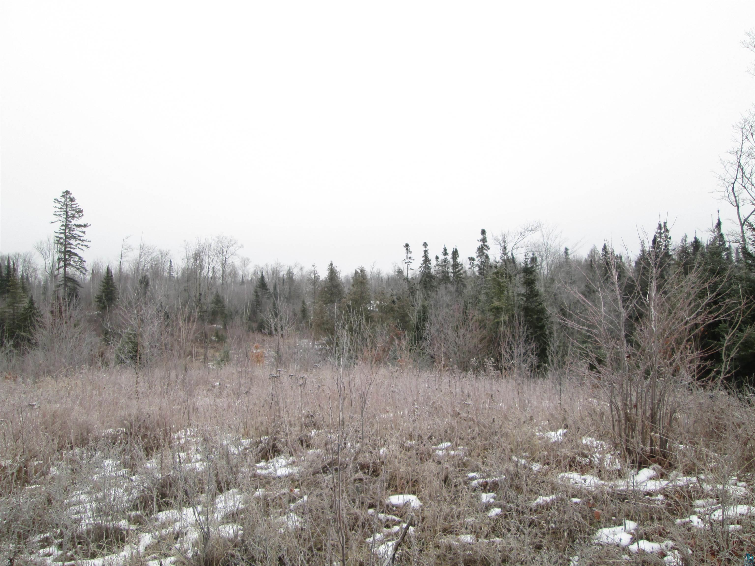 40-acre Lot # 2 40-acre South Range, WI 54874 - Photo 9 of 10