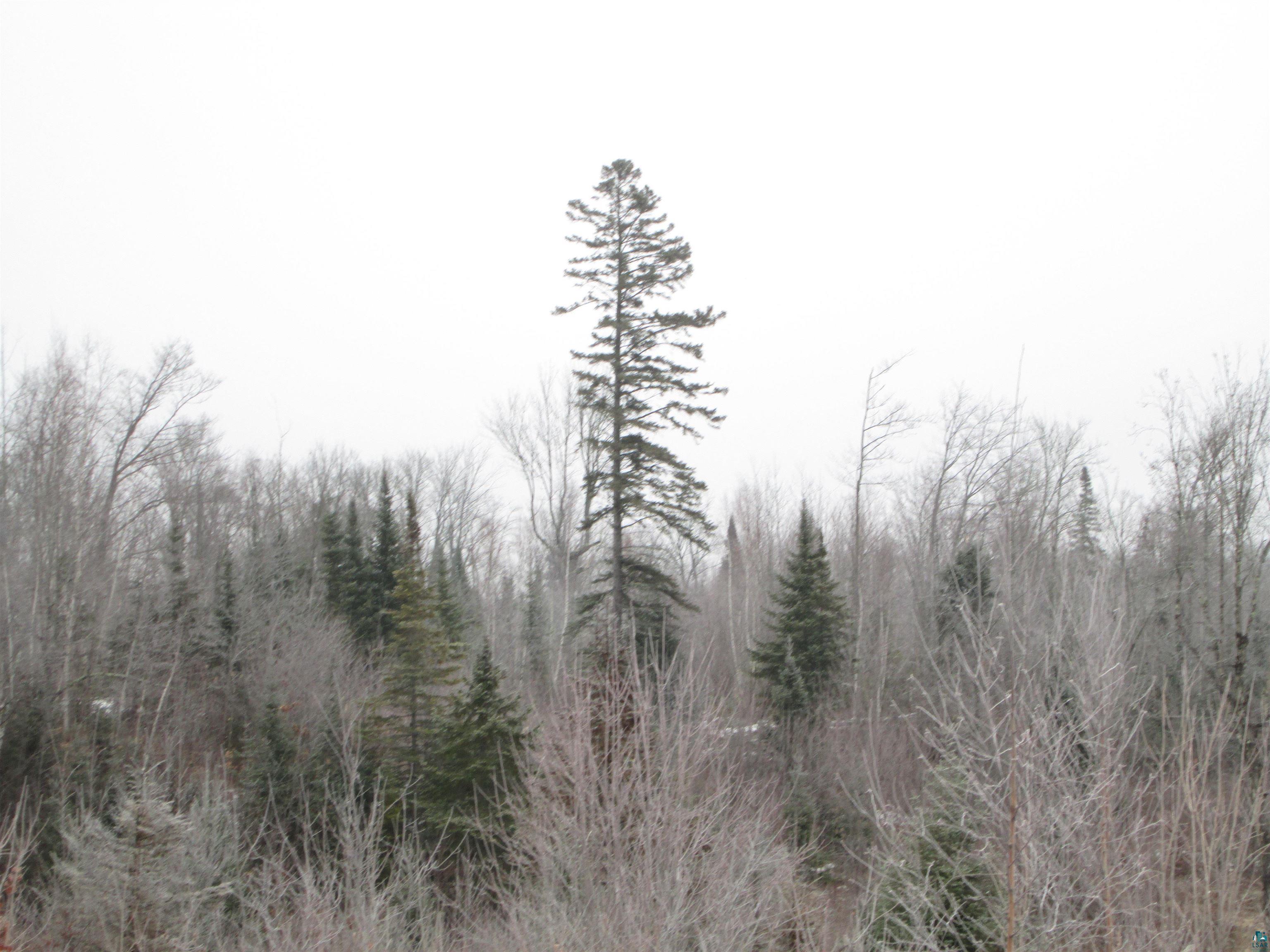 40-acre Lot # 2 40-acre South Range, WI 54874 - Photo 10 of 10