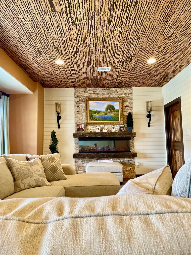 646 Victor Eckhardt Road Fredericksburg, TX 78624 - Photo 20 of 40 a living room with furniture and a flat screen tv