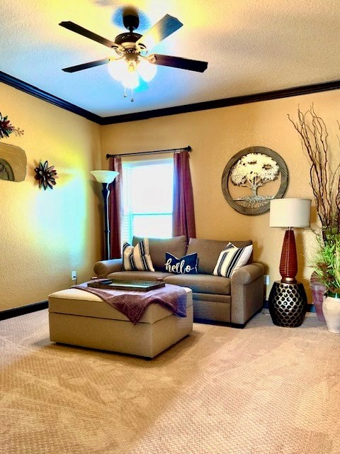 646 Victor Eckhardt Road Fredericksburg, TX 78624 - Photo 33 of 40 a living room with furniture and a chandelier