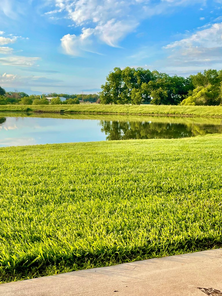 646 Victor Eckhardt Road Fredericksburg, TX 78624 - Photo 6 of 40 a view of an ocean from a yard