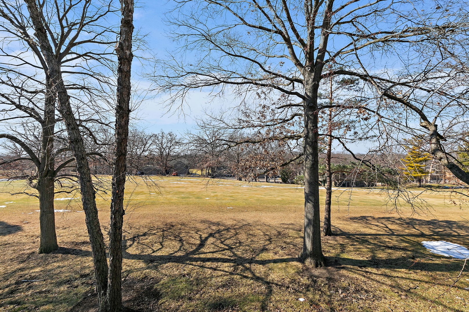 260 Timber Ridge Lane, Unit A Lake Barrington, IL 60010 - Photo 23 of 34 a view of a yard with a tree