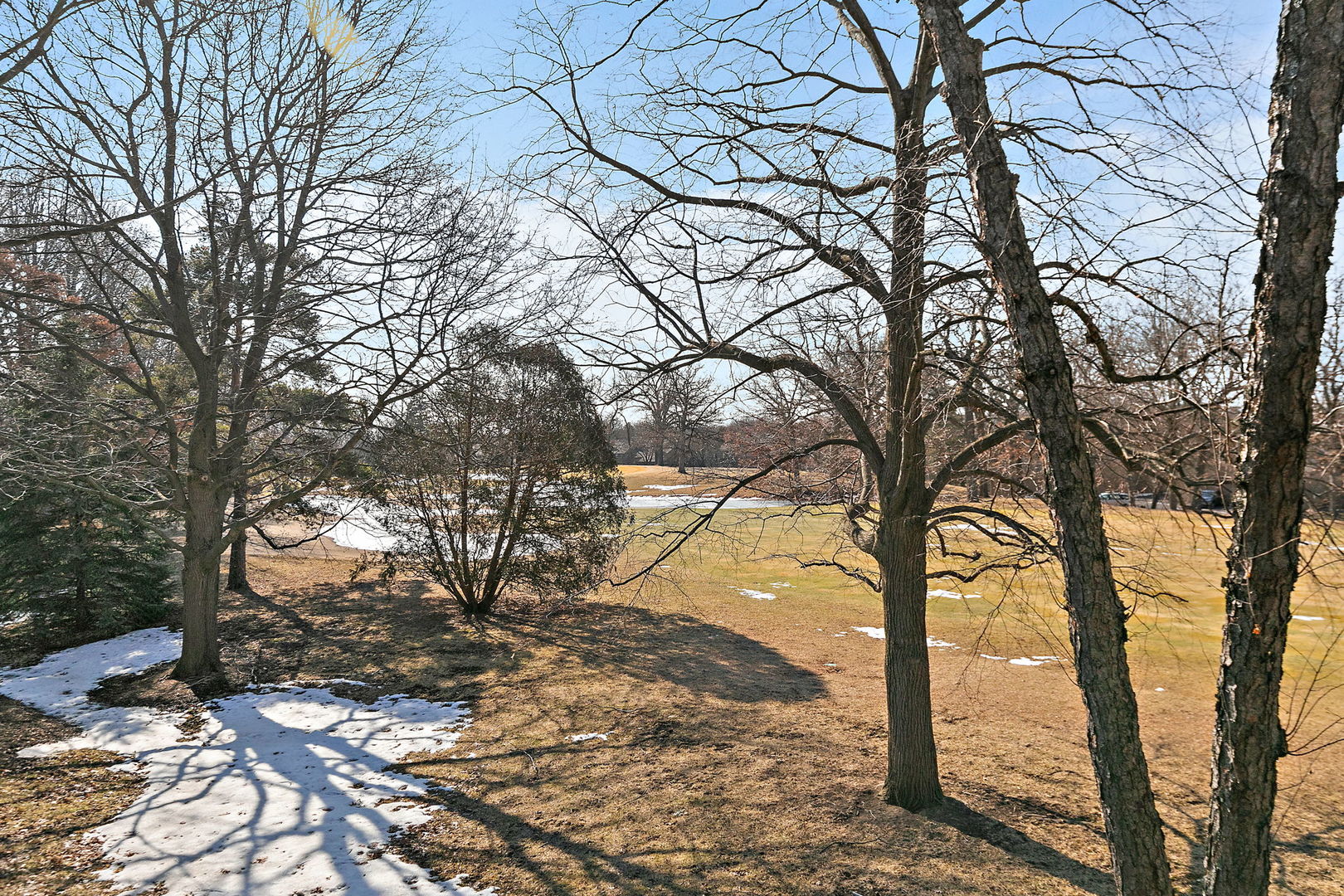 260 Timber Ridge Lane, Unit A Lake Barrington, IL 60010 - Photo 24 of 34 a view of a yard with a tree