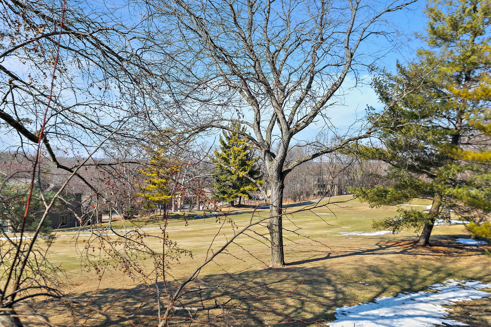 260 Timber Ridge Lane, Unit A Lake Barrington, IL 60010 - Photo 26 of 34 a view of a yard with wooden fence