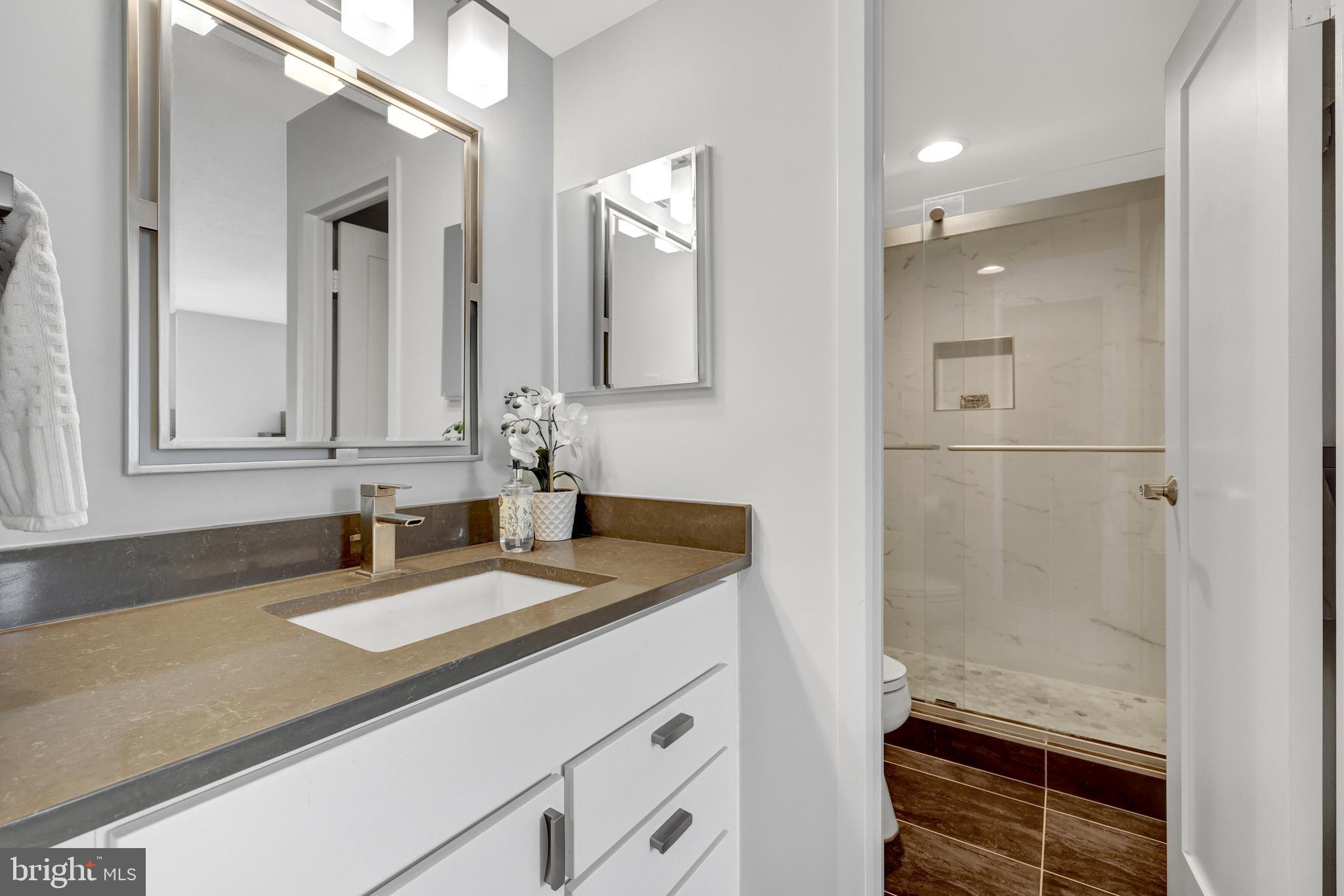 6800 Fleetwood Road, Unit 810 McLean, VA 22101 - Photo 17 of 30 a bathroom with a sink and a mirror