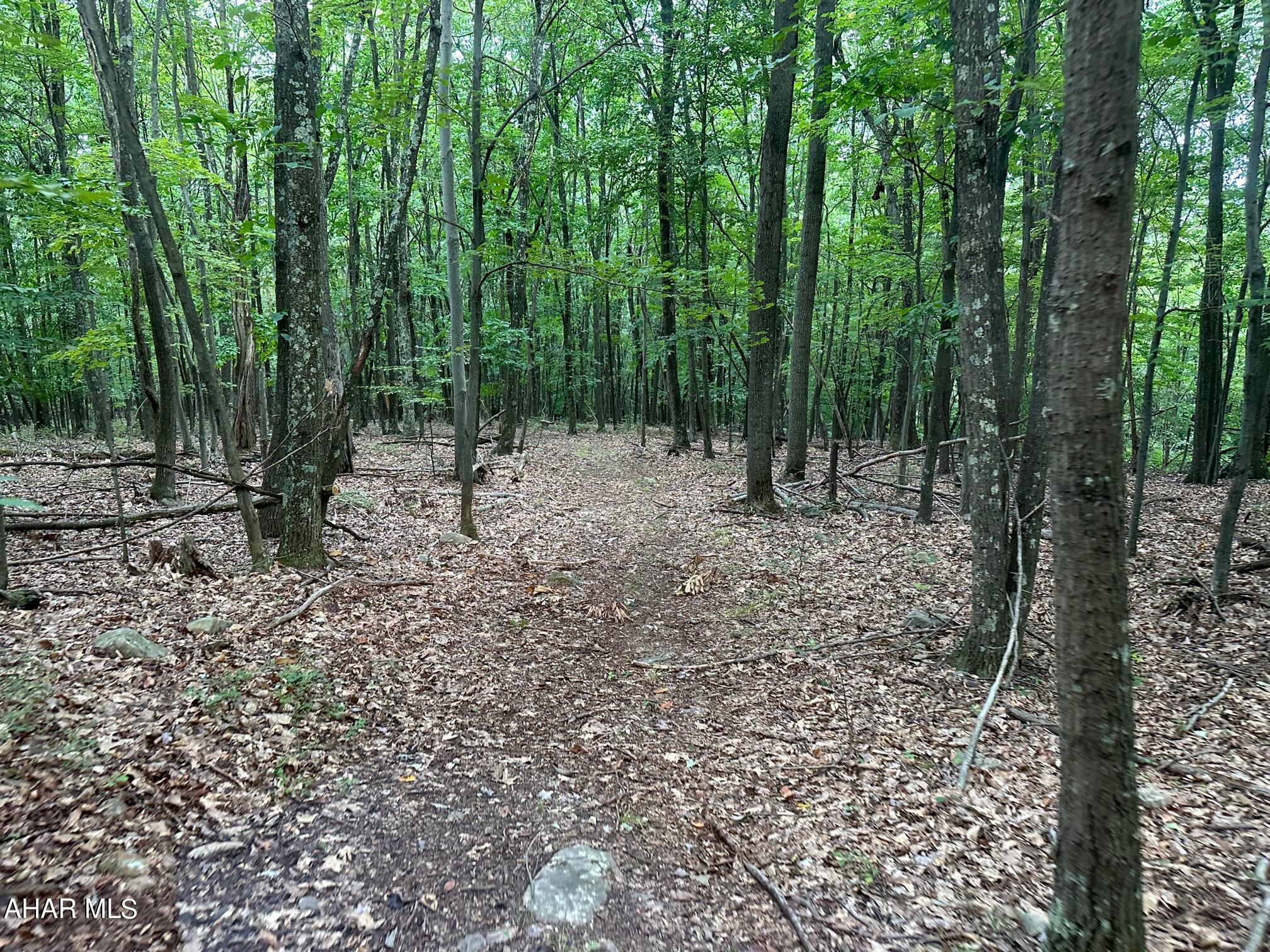 Lot #1 Louks Road Bedford, PA 15522 - Photo 3 of 11