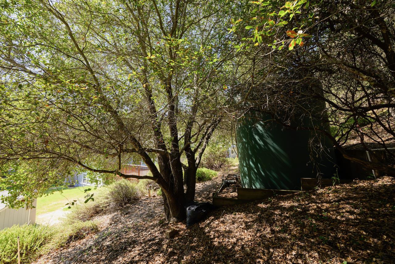 225 Nelson Road Scotts Valley, CA 95066 - Photo 98 of 116