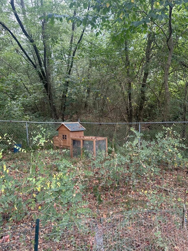 10 Locust Street Cottage Grove, TN 38224 - Photo 14 of 15 a backyard of a house with a yard and outdoor seating