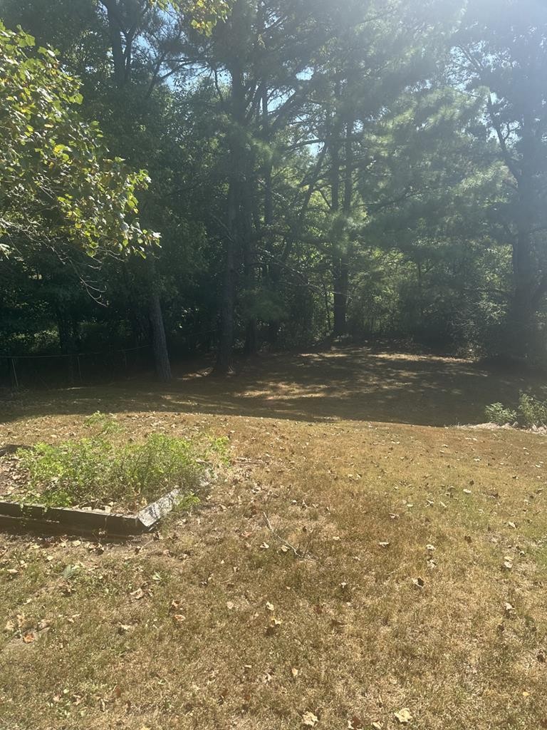 10 Locust Street Cottage Grove, TN 38224 - Photo 15 of 16 a view of a yard