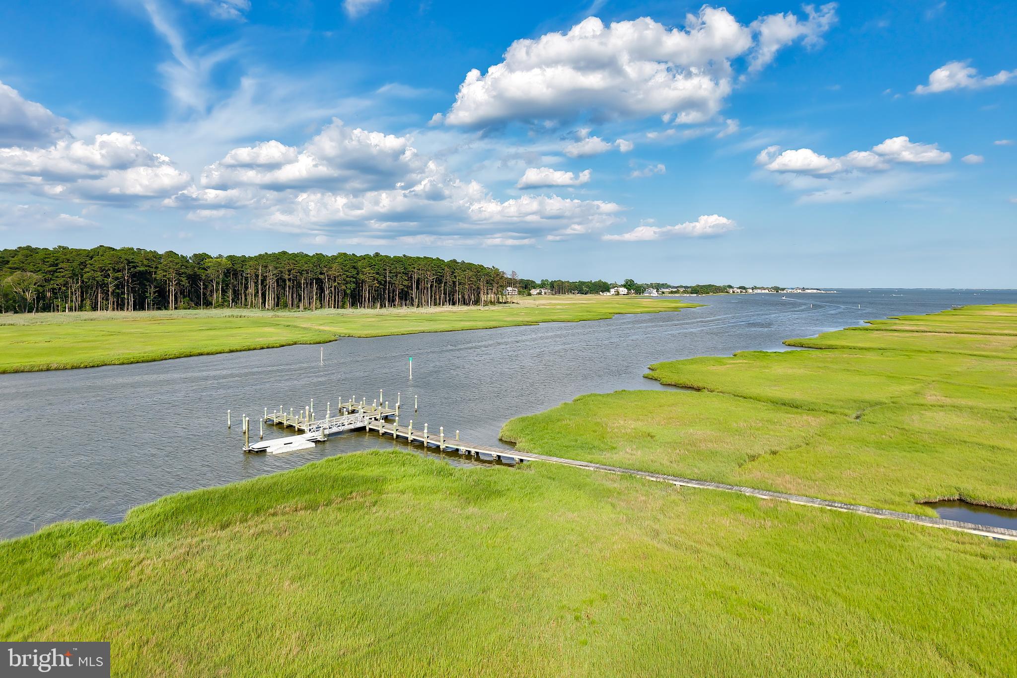 33557 Downing Circle Lewes, DE 19958 - Photo 84 of 89 a view of a lake with a big yard