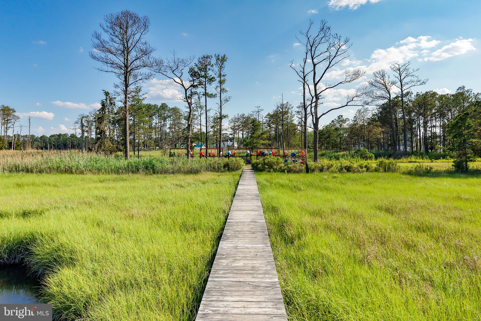 33557 Downing Circle Lewes, DE 19958 - Photo 86 of 89 a view of a yard with plants