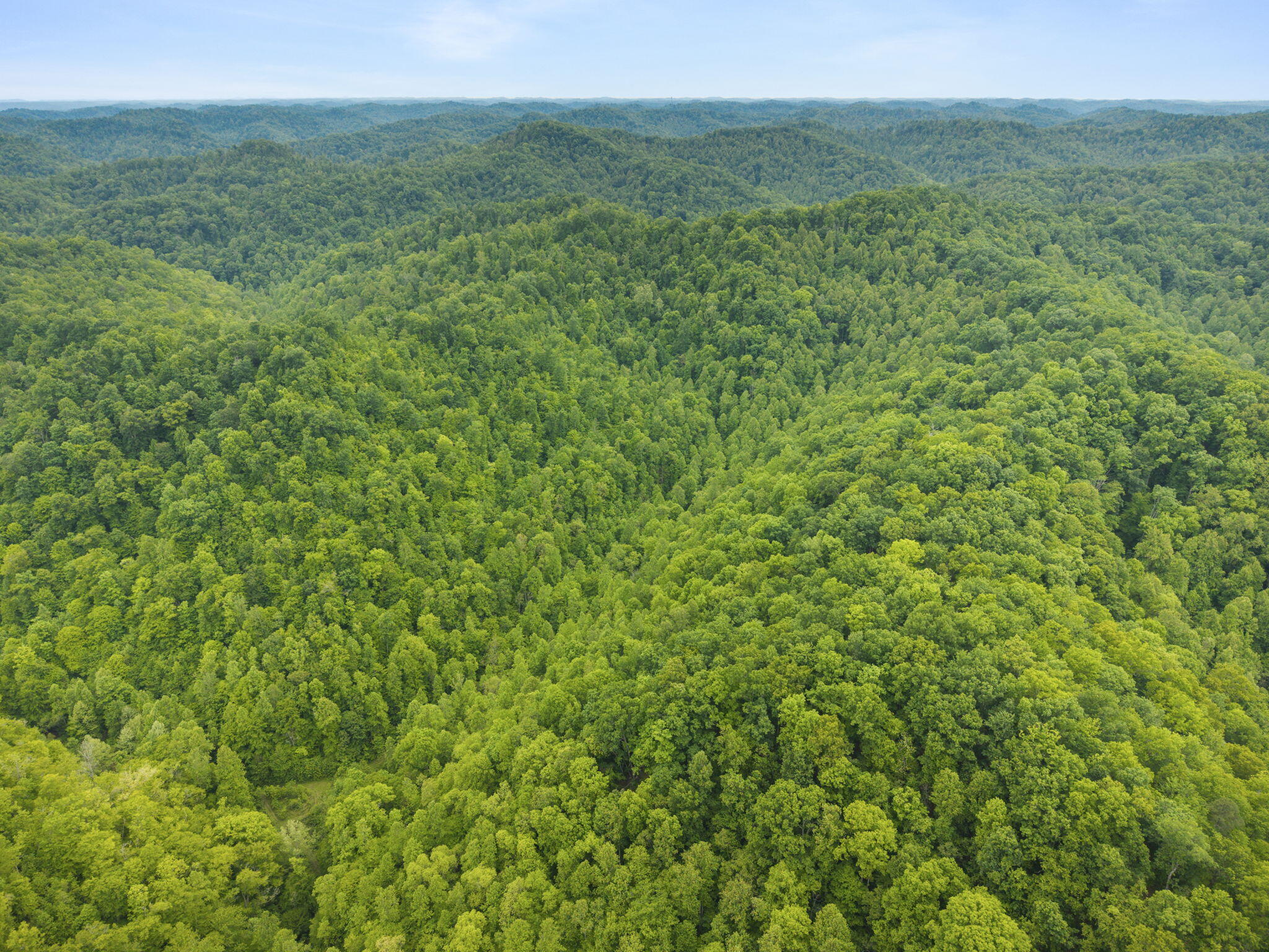 0 Jetts Creek Road Jackson, KY 41339 - Photo 18 of 31 17-web-or-mls-DJI_20260505153205_0044_D