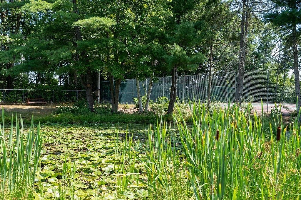 75 Treetop Circle, Unit 14 Laconia, NH 03246 - Photo 33 of 35