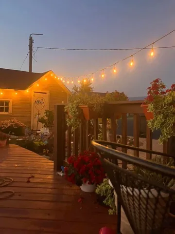 a view of a flower in a garden