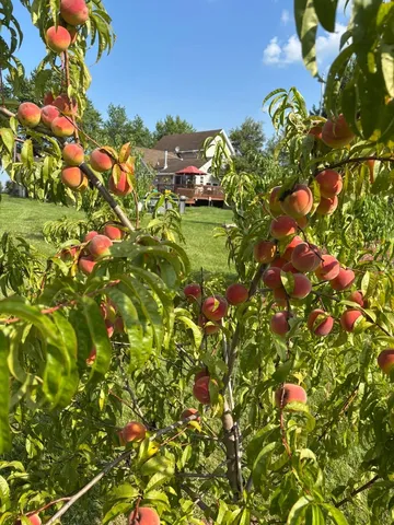 $659,000 | 3024 East Brunswick Road, Beecher, IL 60401