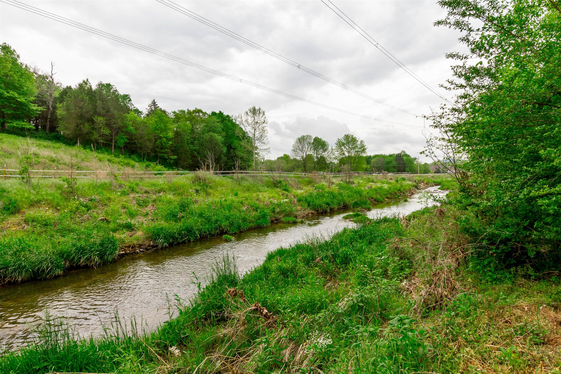 9723 Concord Road Brentwood, TN 37027 - Photo 16 of 30 a view of a lake with a yard and large trees