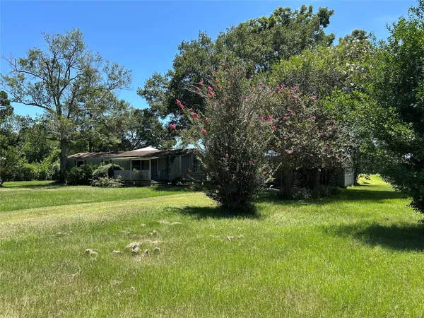 a view of a big yard with large trees
